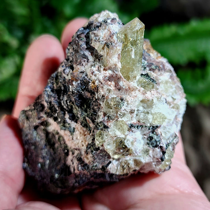 Apatite Crystals, Mexico C (3")