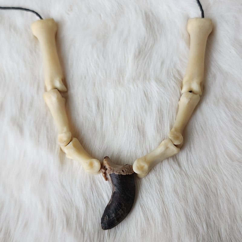 Arctic Wolf Claw Necklace