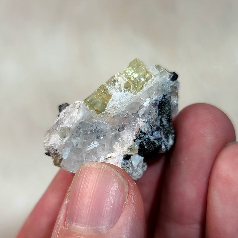 Apatite Crystals, Mexico (1-1.5")