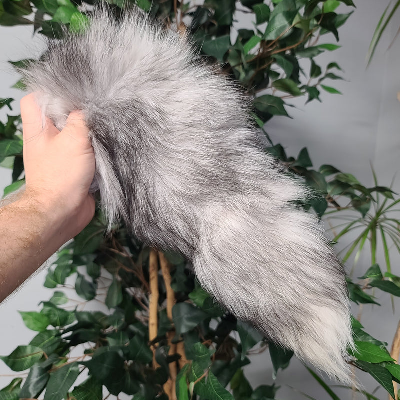 Silver Fox Tails