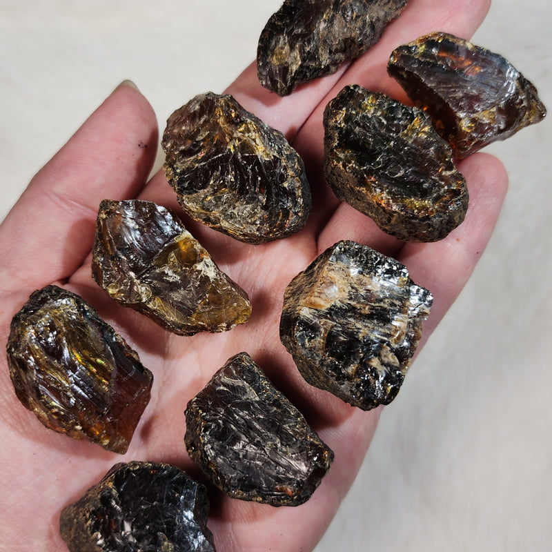 Sumatran Amber (1.5-2")