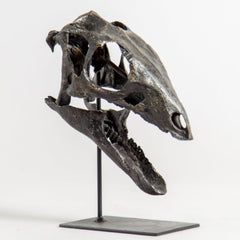 Dryosaurus Altus Dinosaur Skull (CAST)