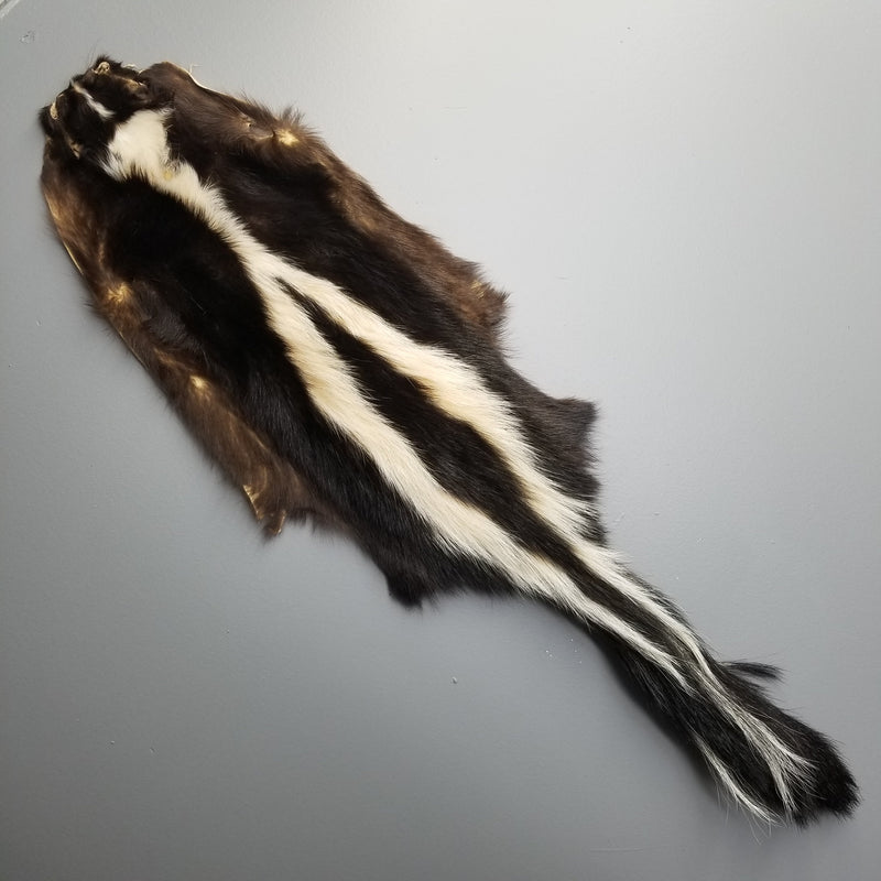 Skunk Fur, Salvaged