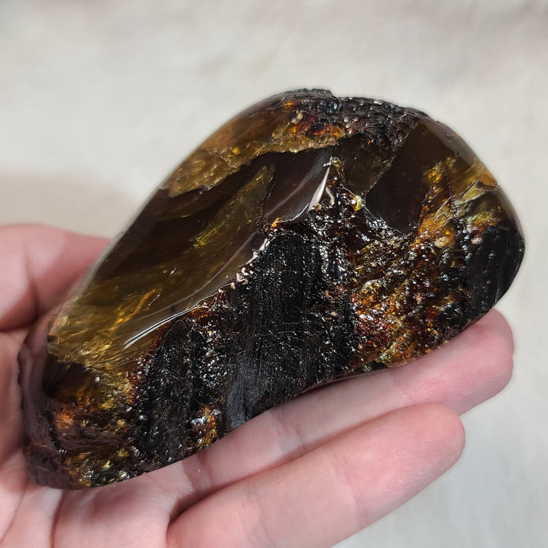 Sumatran Amber XL, A