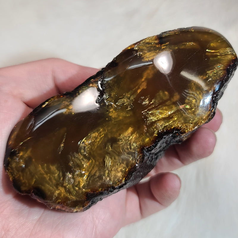 Sumatran Amber XL, A