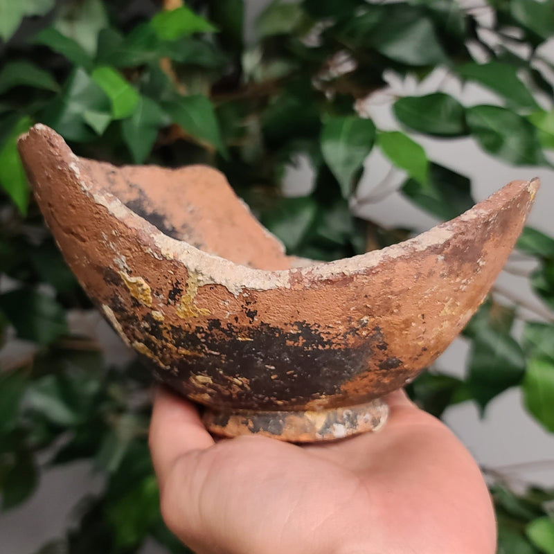 Ancient Shipwreck Pottery F, Greek (SALE)