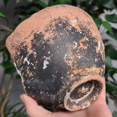 Ancient Shipwreck Pottery F, Greek (SALE)