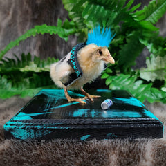 Chick Taxidermy, Punk A