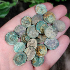 Ancient Scythian Buttons