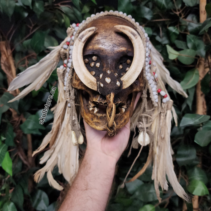 Asmat Ancestor Skull A