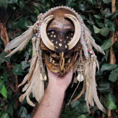 Asmat Ancestor Skull A