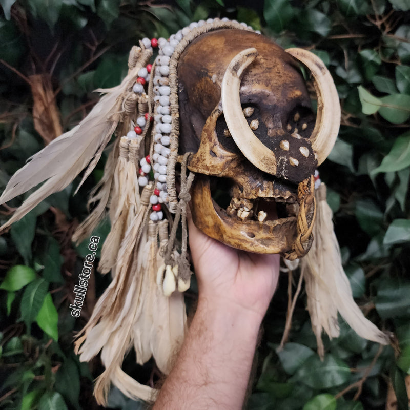Asmat Ancestor Skull A
