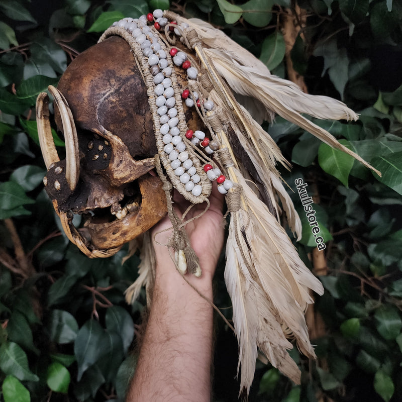 Asmat Ancestor Skull A