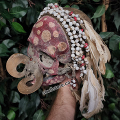 Asmat Ancestor Skull B