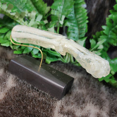 House Cat Arm, In Resin
