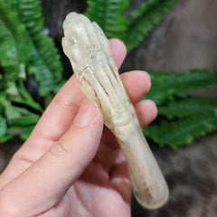 House Cat Arm, In Resin
