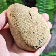 Ancient Egyptian Frog Oil Lamp
