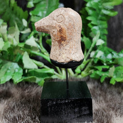 Ancient Roman Terracotta Bird Head