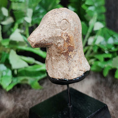 Ancient Roman Terracotta Bird Head
