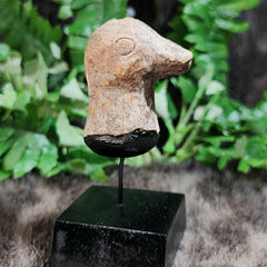 Ancient Roman Terracotta Bird Head