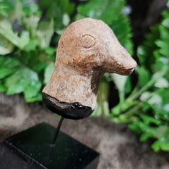 Ancient Roman Terracotta Bird Head