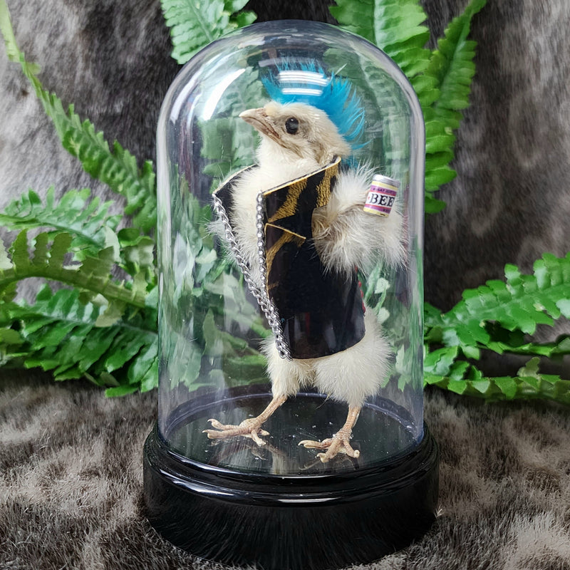 Chick Taxidermy, Punk B