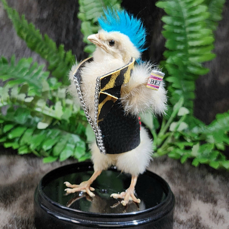 Chick Taxidermy, Punk B