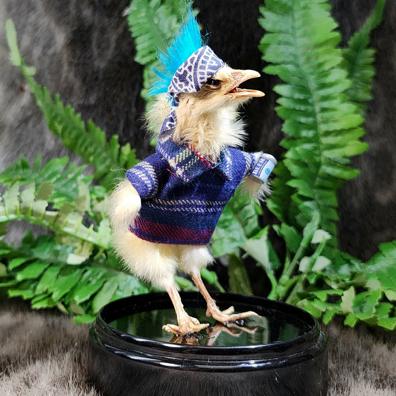 Chick Taxidermy, Punk C