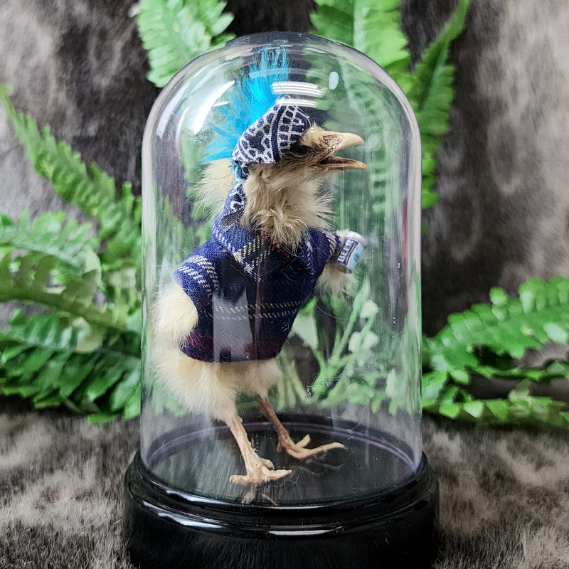 Chick Taxidermy, Punk C