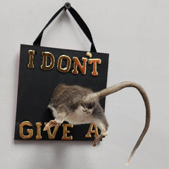 Rat Taxidermy, I Don't Give A (A)