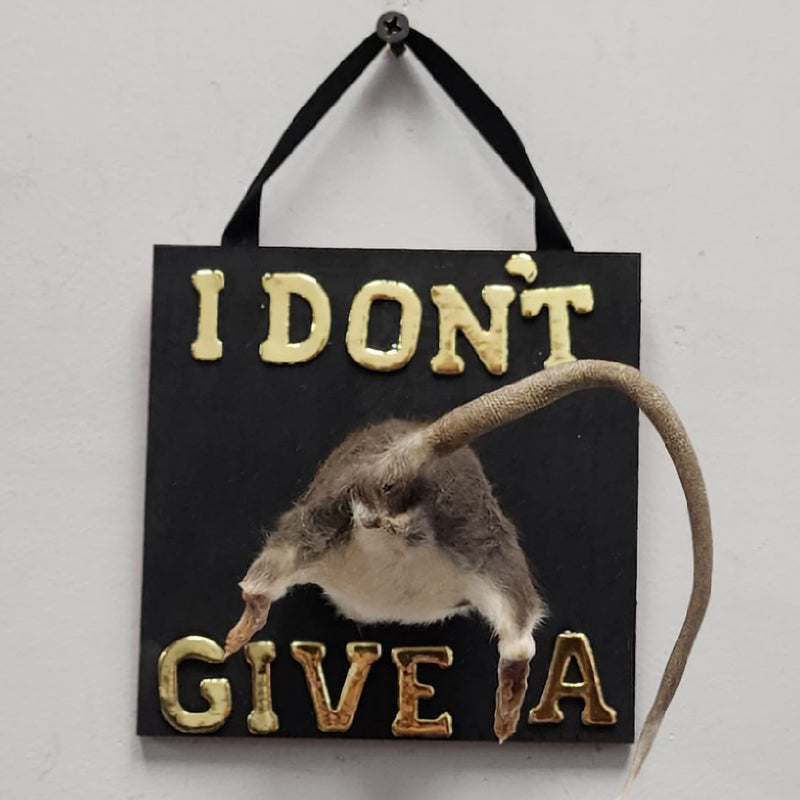 Rat Taxidermy, I Don't Give A (A)