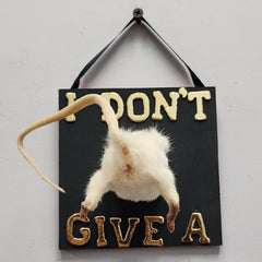 Rat Taxidermy, I Don't Give A (B)