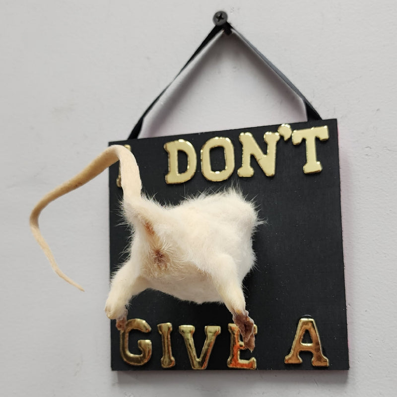 Rat Taxidermy, I Don't Give A (B)
