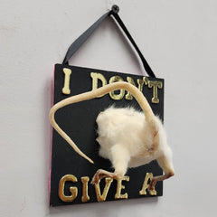 Rat Taxidermy, I Don't Give A (B)