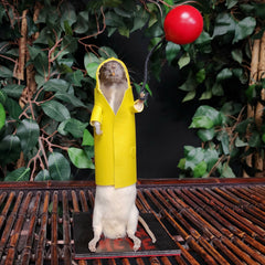 Rat Taxidermy, IT's A Rat