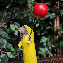 Rat Taxidermy, IT's A Rat