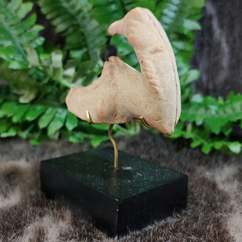 Ancient Greek Statuette Fragment R