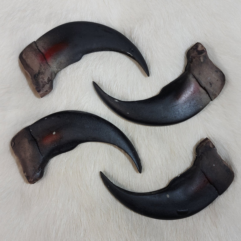 Grizzly Bear Claws, XL (REPLICA)