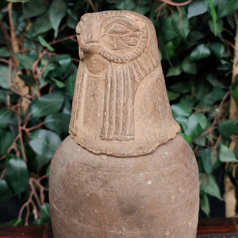 Ancient Egyptian Canopic Jar (Qebehsenuef)