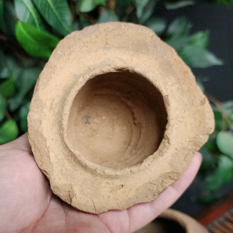 Ancient Egyptian Canopic Jar (Qebehsenuef)