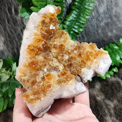 Citrine Crystal Cluster A, Brazil (4.25