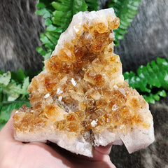 Citrine Crystal Cluster A, Brazil (4.25