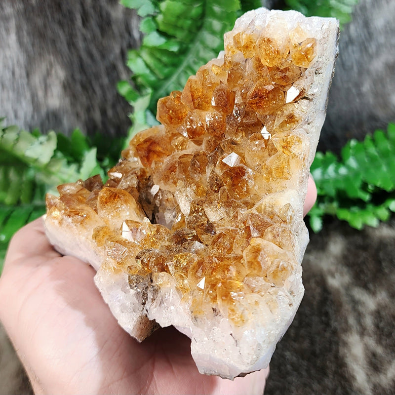 Citrine Crystal Cluster A, Brazil (4.25")