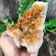 Citrine Crystal Cluster A, Brazil (4.25