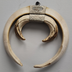 Warthog Tusk Set A, Vintage