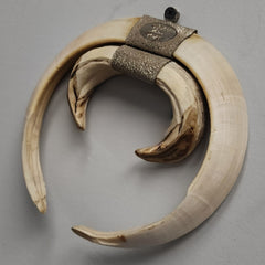 Warthog Tusk Set A, Vintage
