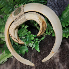 Warthog Tusk Set A, Vintage