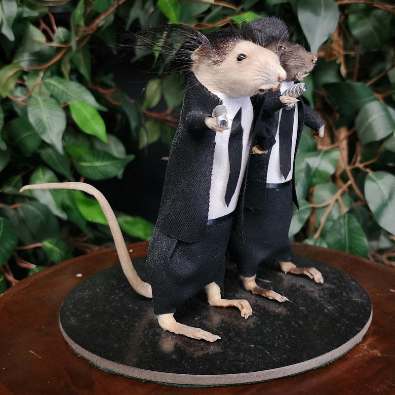 Rat Taxidermy, Pulp Non-Fiction