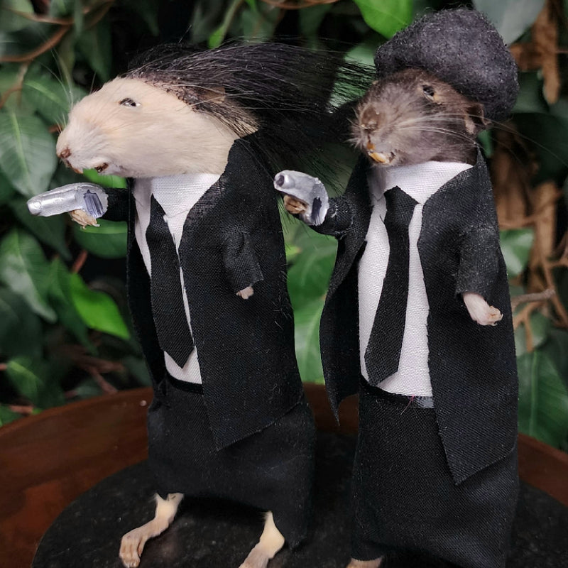 Rat Taxidermy, Pulp Non-Fiction