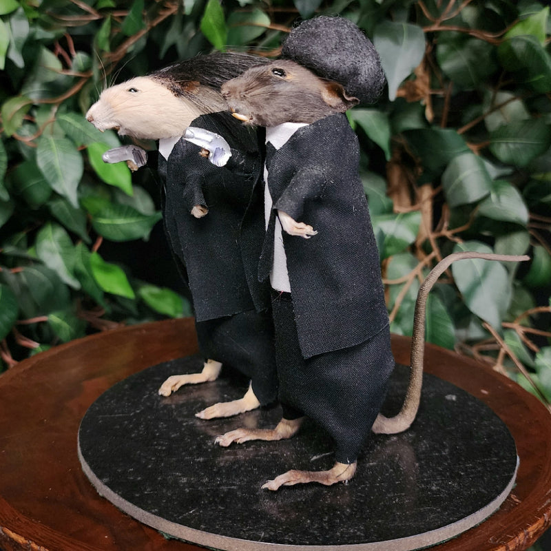 Rat Taxidermy, Pulp Non-Fiction